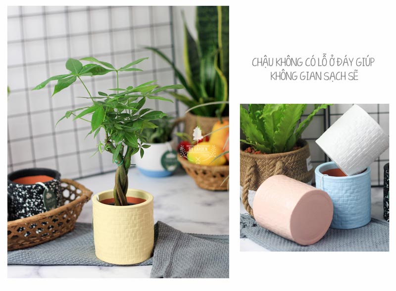 Chậu Gốm Sứ AMI - 9X GARDEN