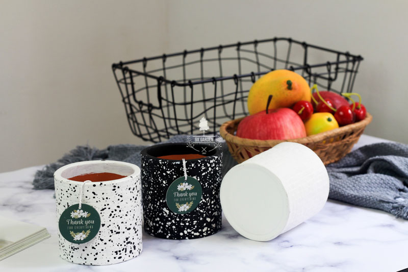 Chậu Gốm Sứ AMI - 9X GARDEN