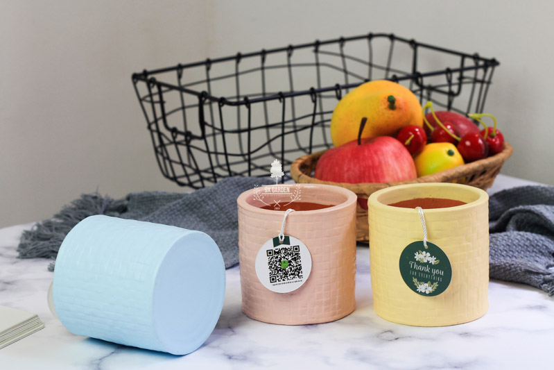 Chậu Gốm Sứ AMI - 9X GARDEN