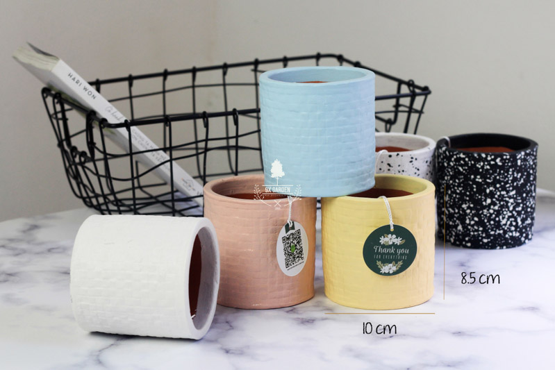 Chậu Gốm Sứ AMI - 9X GARDEN