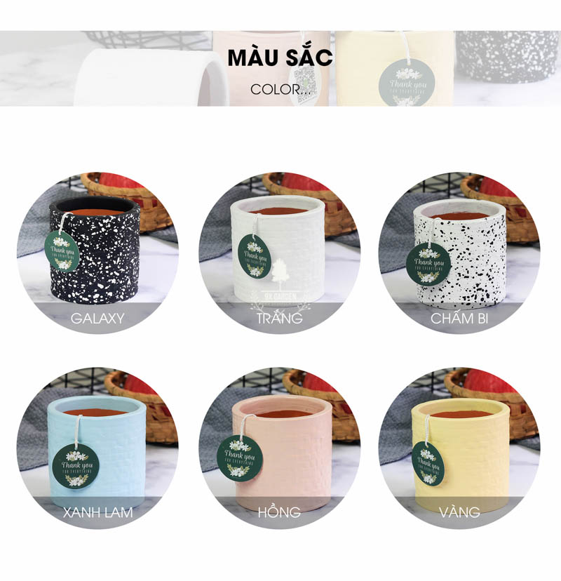 Chậu Gốm Sứ AMI - 9X GARDEN