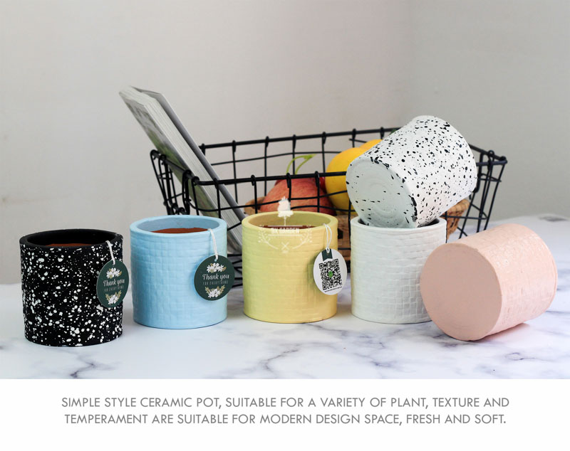 Chậu Gốm Sứ AMI - 9X GARDEN