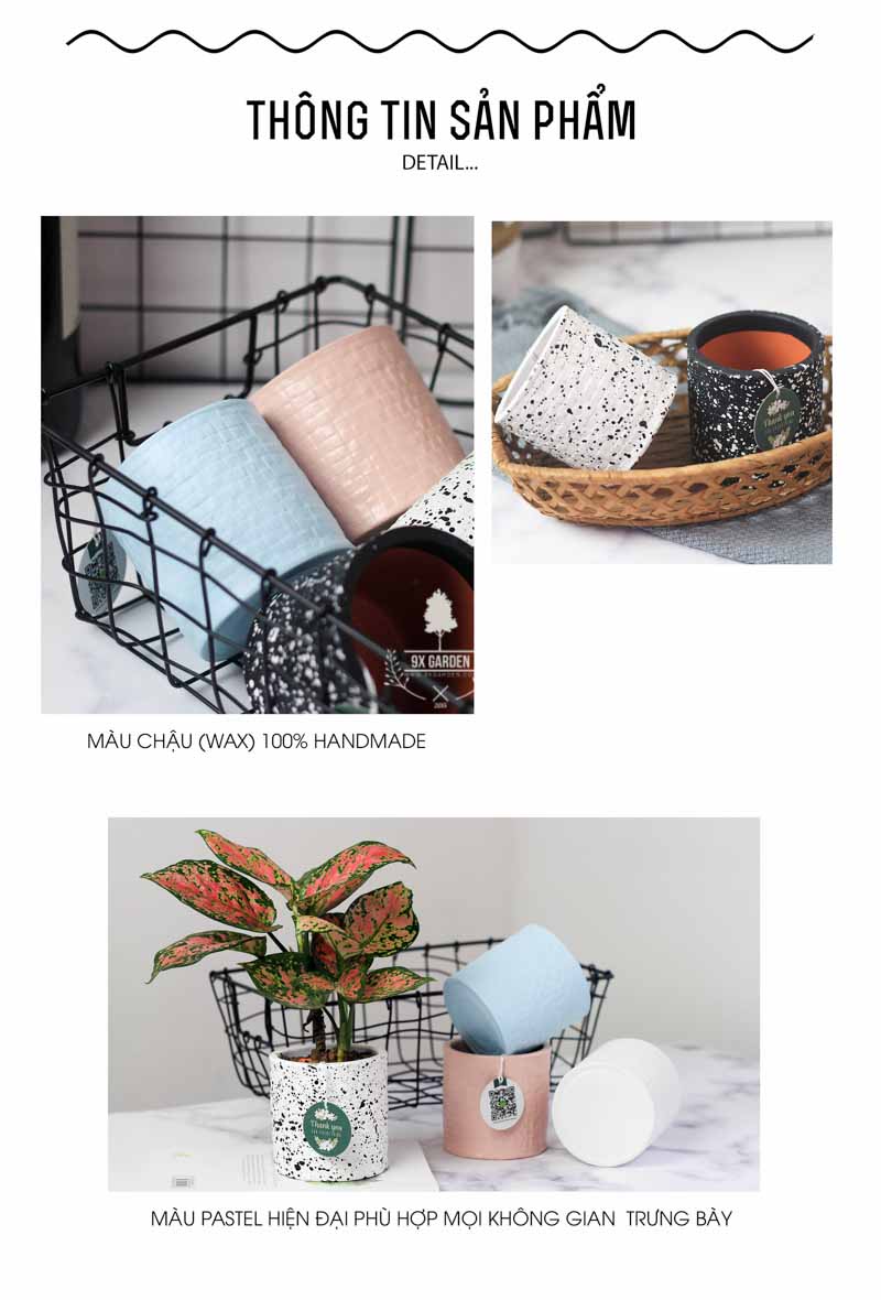 Chậu Gốm Sứ AMI - 9X GARDEN