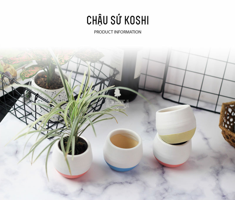 Chậu Gốm Sứ Koshi - 9X GARDEN