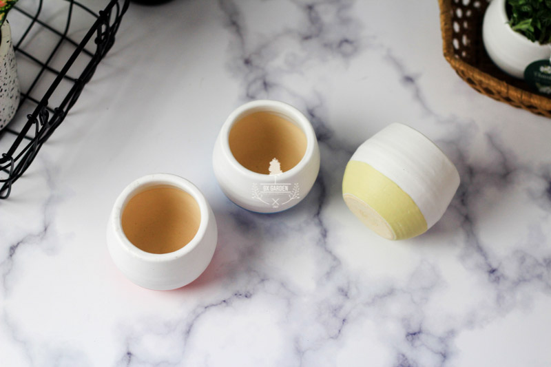 Chậu Gốm Sứ Koshi - 9X GARDEN