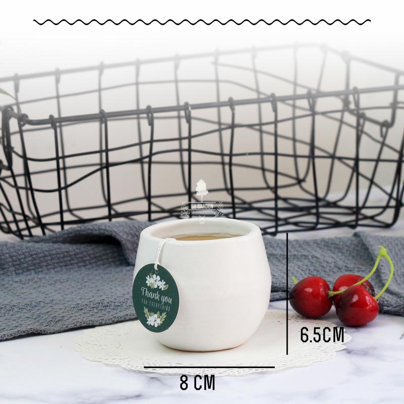 Chậu Gốm Sứ Koshi - 9X GARDEN