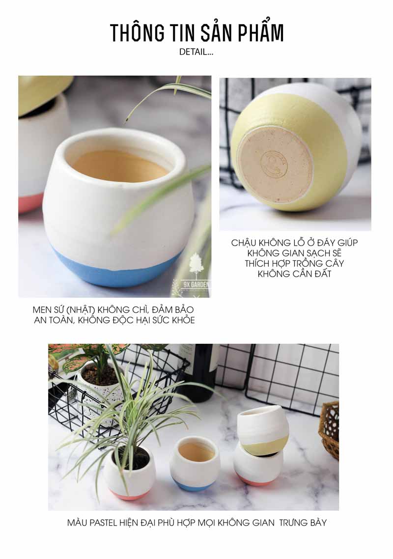 Chậu Gốm Sứ Koshi - 9X GARDEN