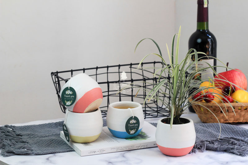 Chậu Gốm Sứ Koshi - 9X GARDEN