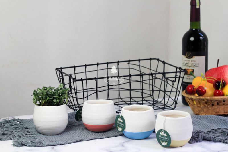 Chậu Gốm Sứ Koshi - 9X GARDEN