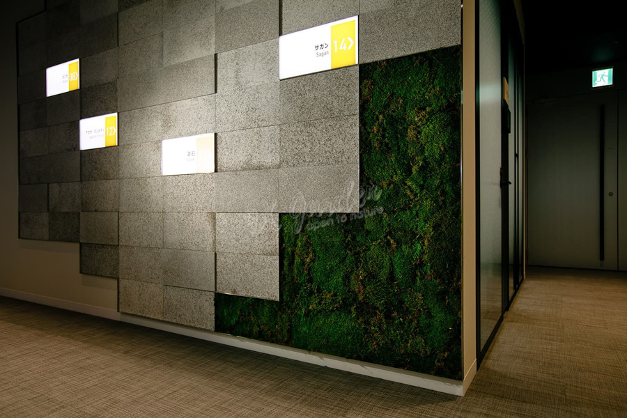 Thi Công Tranh Rêu - Tường Rêu Bảo Tồn (Vĩnh cửu) | Moss Art by 9X GARDEN