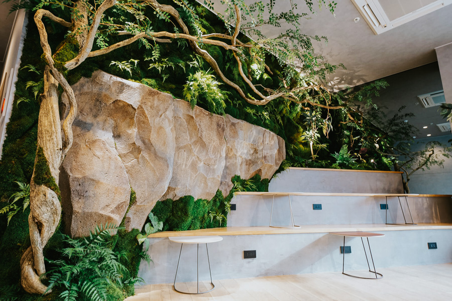 Thi Công Tranh Rêu - Tường Rêu Bảo Tồn (Vĩnh cửu) | Moss Art by 9X GARDEN