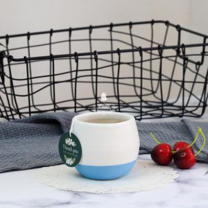 Chậu Gốm Sứ Koshi - 9X GARDEN