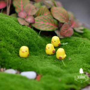 Gà Con - Phụ Kiện Terrarium - 9X GARDEN