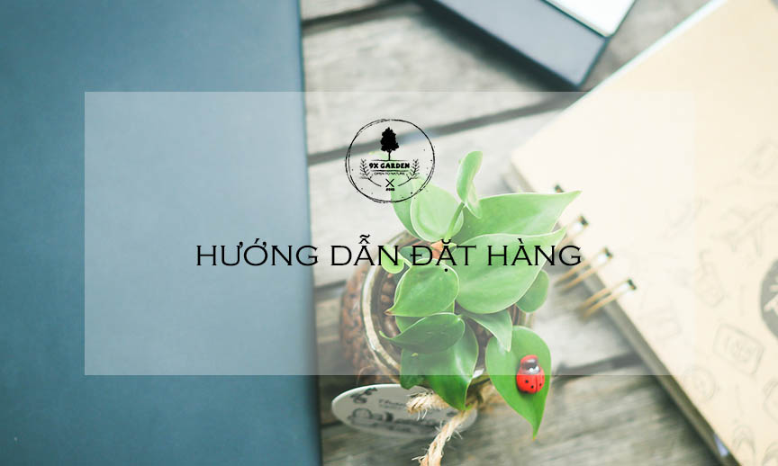 Chính Sách - Quy Định - Hướng Dẫn 9X GARDEN
