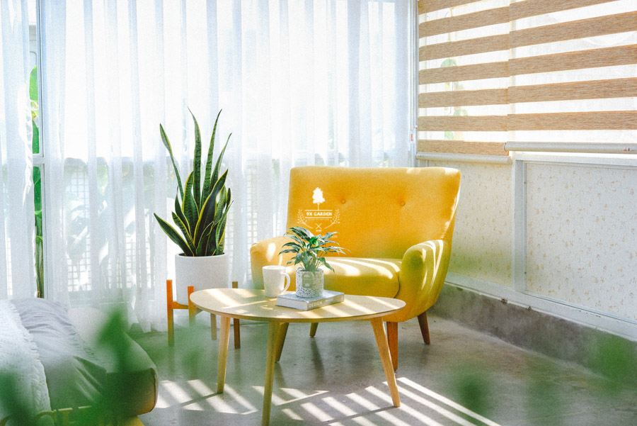 Lan Ý x Ami 10.0 - Cây Trồng Không Đất - 9X GARDEN