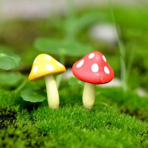 Nấm Nhỏ - Phụ Kiện Terrarium - 9X GARDEN