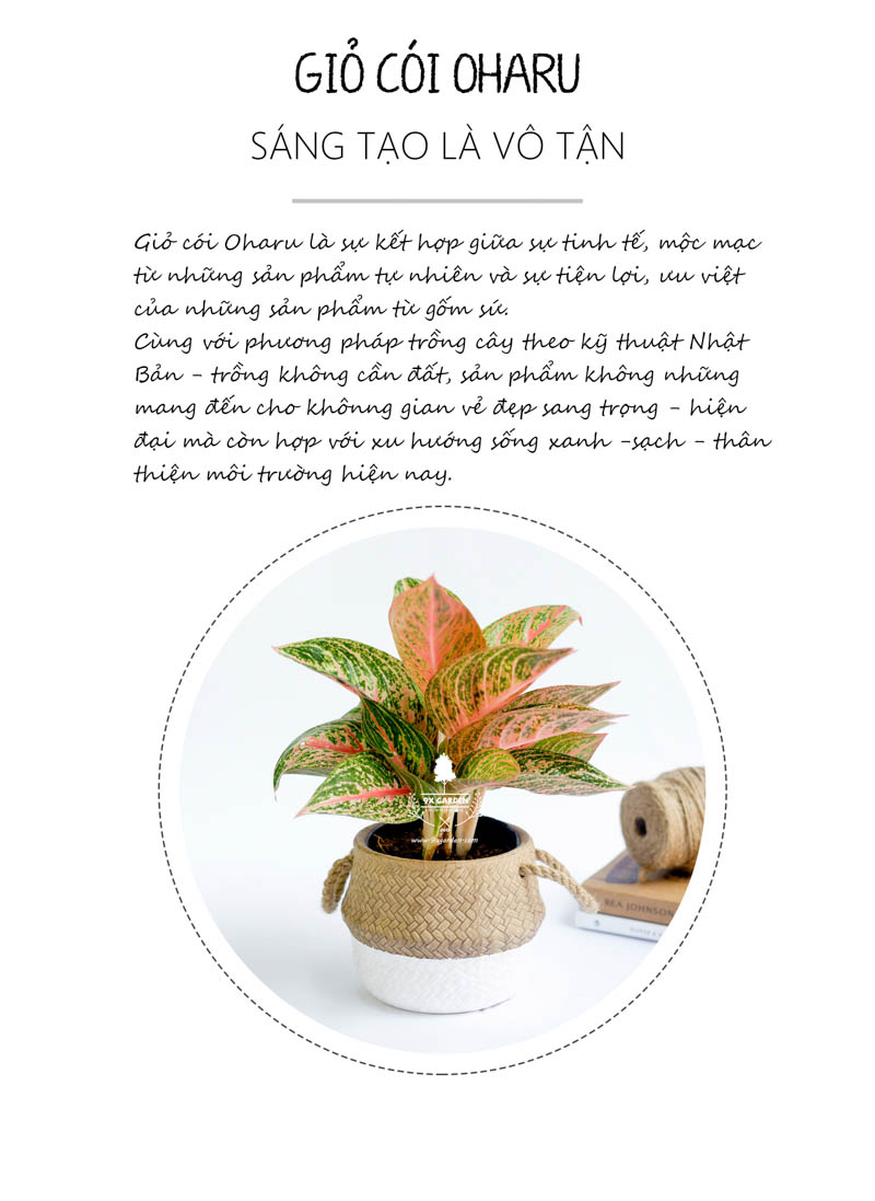 Thịnh Vượng 10.0 - Cây Trồng Không Cần Đất 9X Gard