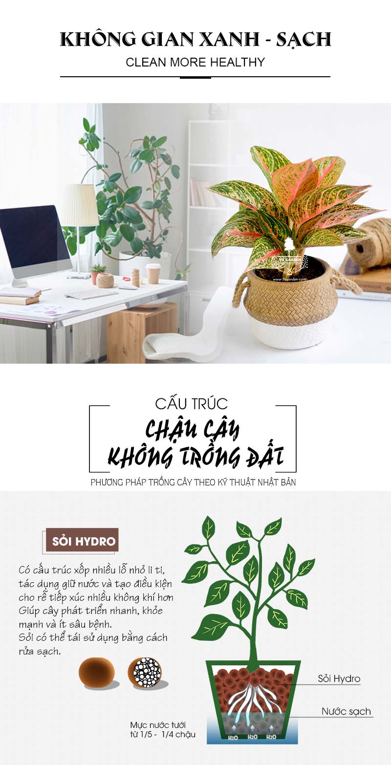 Thịnh Vượng 10.0 - Cây Trồng Không Cần Đất 9X Gard