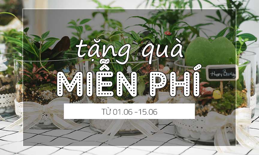 GIVE AWAY – Tặng Quà Miễn Phí Mừng Sinh Nhật