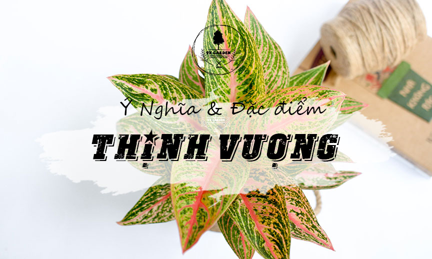 Plant Wiki – Cây Thịnh Vượng