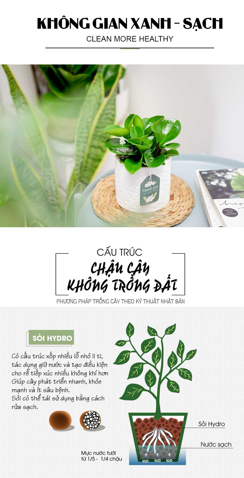 Trường Sinh 8.0 - Cây Trồng Không Cần Đất 9X Garden
