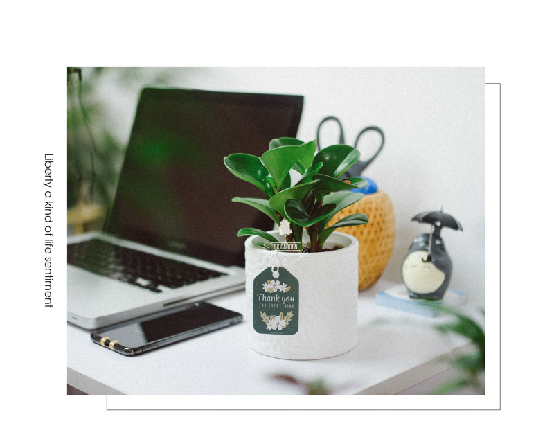 Trường Sinh 8.0 - Cây Trồng Không Cần Đất 9X Garden