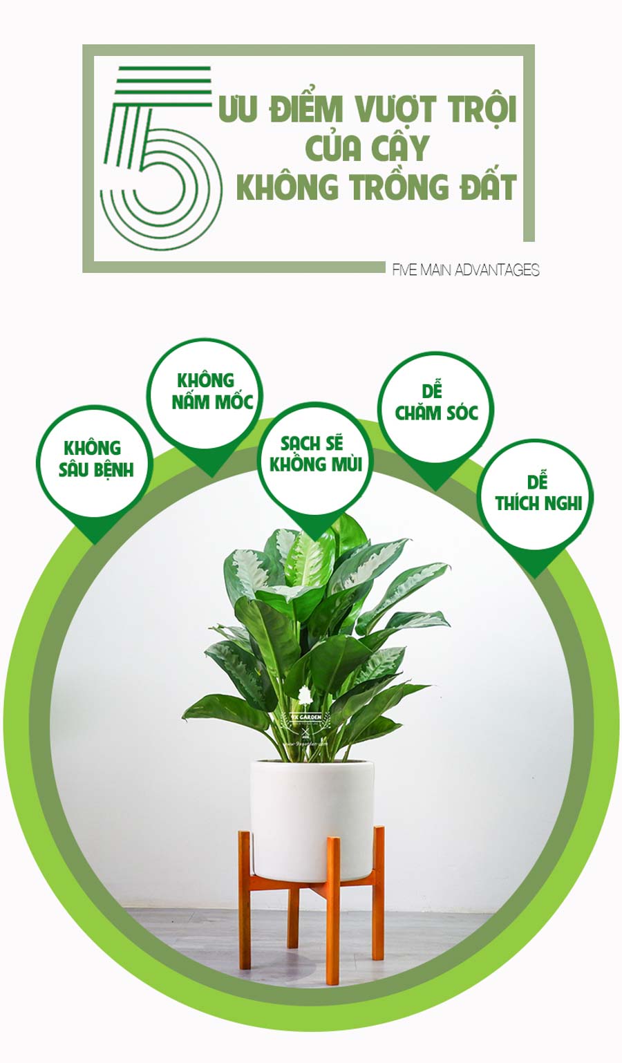 Thanh Lam Trồng Không Cần Đất - 9X GARDEN