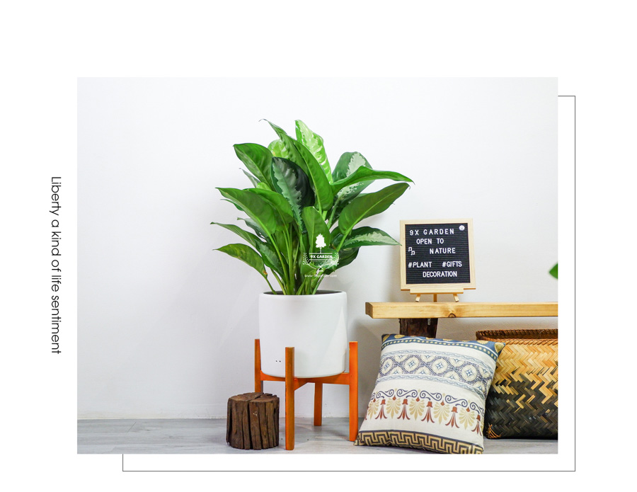 Thanh Lam Trồng Không Cần Đất - 9X GARDEN