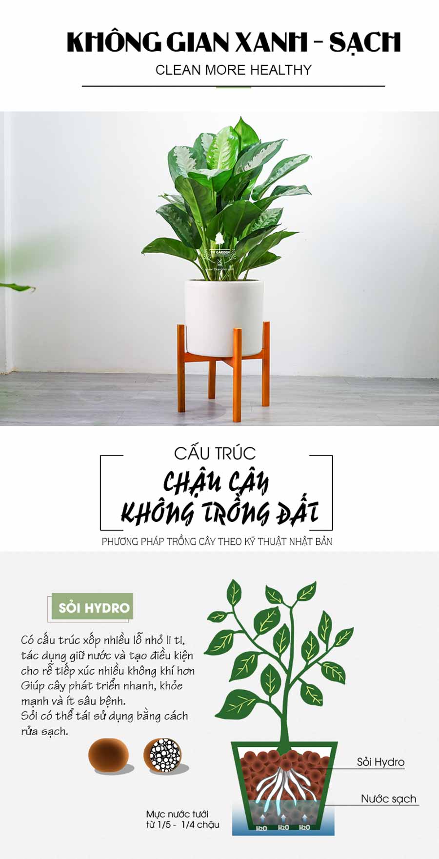 Thanh Lam Trồng Không Cần Đất - 9X GARDEN