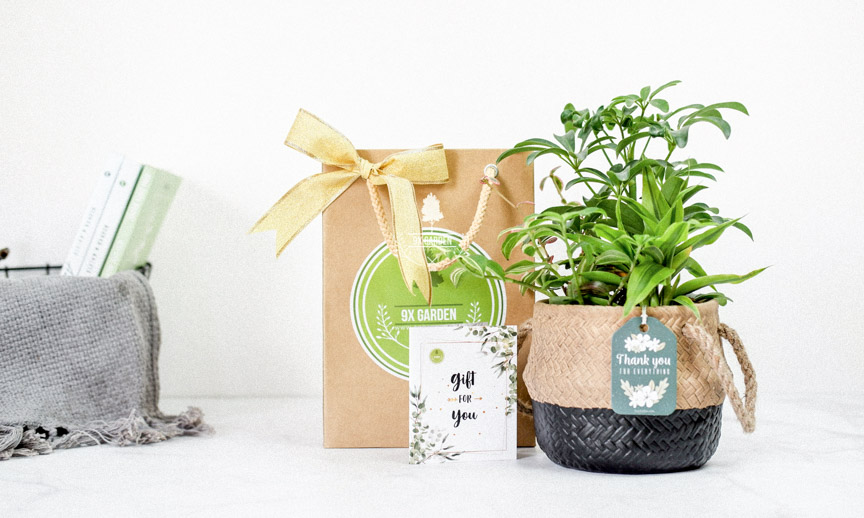 Bí Kiếp Tặng Quà Với Phát Đẹp - 9X GARDEN
