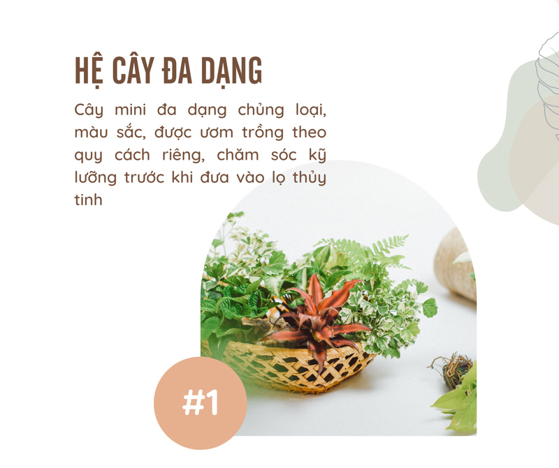 Tiểu Cảnh Để Bàn Terrarium - 9X GARDEN