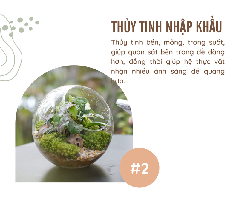 Tiểu Cảnh Để Bàn Terrarium - 9X GARDEN