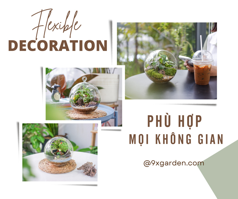 Tiểu Cảnh Để Bàn Terrarium - 9X GARDEN