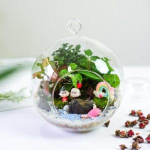 Tiểu Cảnh Để Bàn Terrarium - Family & Home 002 - 9X GARDEN