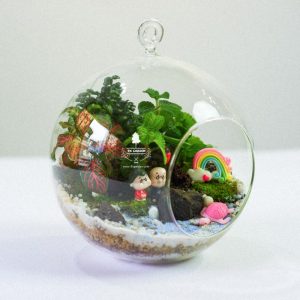Tiểu Cảnh Để Bàn Terrarium - Family & Home 002 - 9X GARDEN