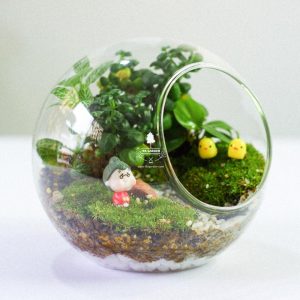 Tiểu Cảnh Để BànTerrarium - Family & Home 003 - 9X GARDEN