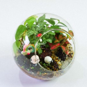 Tiểu Cảnh Để Bàn Terrarium - Family & Home 004 - 9X GARDEN