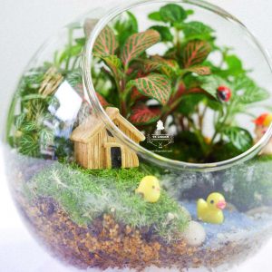 Tiểu Cảnh Để Bàn Terrarium - Family & Home 005 - 9X GARDEN