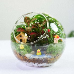 Tiểu Cảnh Để Bàn Terrarium - Family & Home 005 - 9X GARDEN