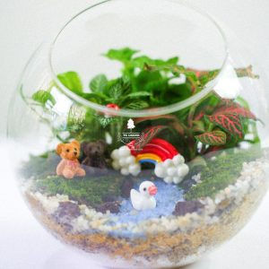 Tiểu Cảnh Để Bàn Terrarium - Sweet Couple 002 - 9X GARDEN