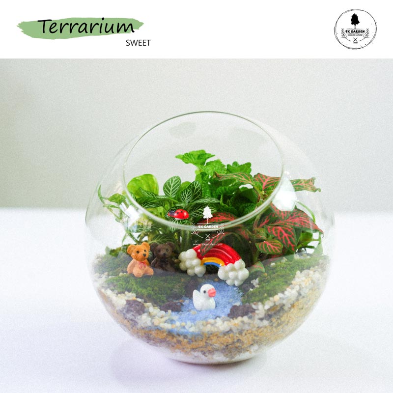 Tiểu Cảnh Để Bàn Terrarium - Sweet Couple 002 - 9X GARDEN