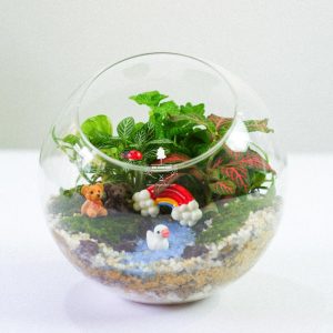 Tiểu Cảnh Để Bàn Terrarium - Sweet Couple 002 - 9X GARDEN