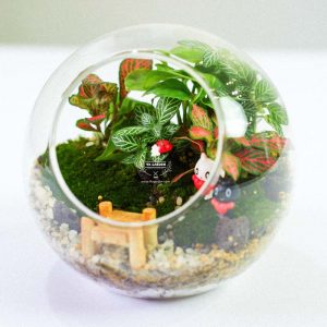 Tiểu Cảnh Để Bàn Terrarium - Sweet Couple 003 - 9X GARDEN