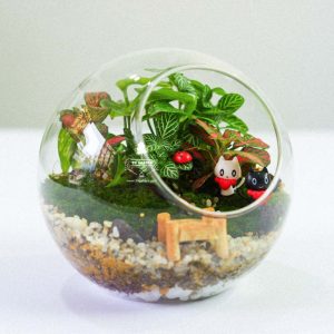 Tiểu Cảnh Để Bàn Terrarium - Sweet Couple 003 - 9X GARDEN