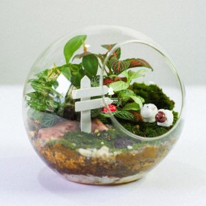 Tiểu Cảnh Để Bàn Terrarium - Sweet Couple 004 - 9X GARDEN