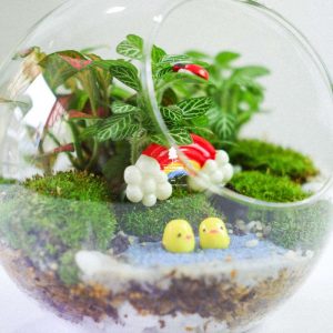 Tiểu Cảnh Để Bàn Terrarium - Sweet Couple 005 - 9X GARDEN