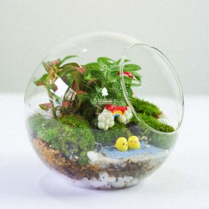 Tiểu Cảnh Để Bàn Terrarium - Sweet Couple 005 - 9X GARDEN