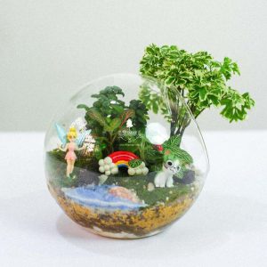 Tiểu Cảnh Để Bàn Terrarium - Tropical Forest 002 - 9X GARDEN