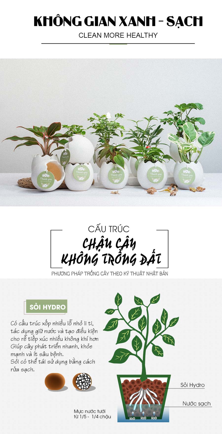 Đặc điểm chậu Trứng Oasis - Cây Cảnh Mini Không Cần Đất - 9X GARDEN