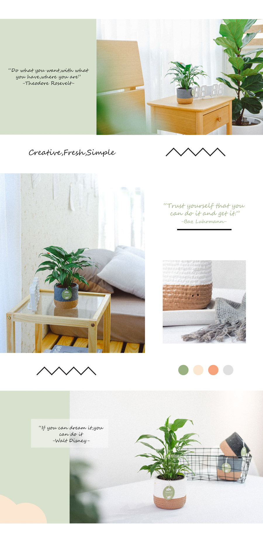 Lan Ý x Teori - Cây Cảnh Để Bàn - 9X GARDEN